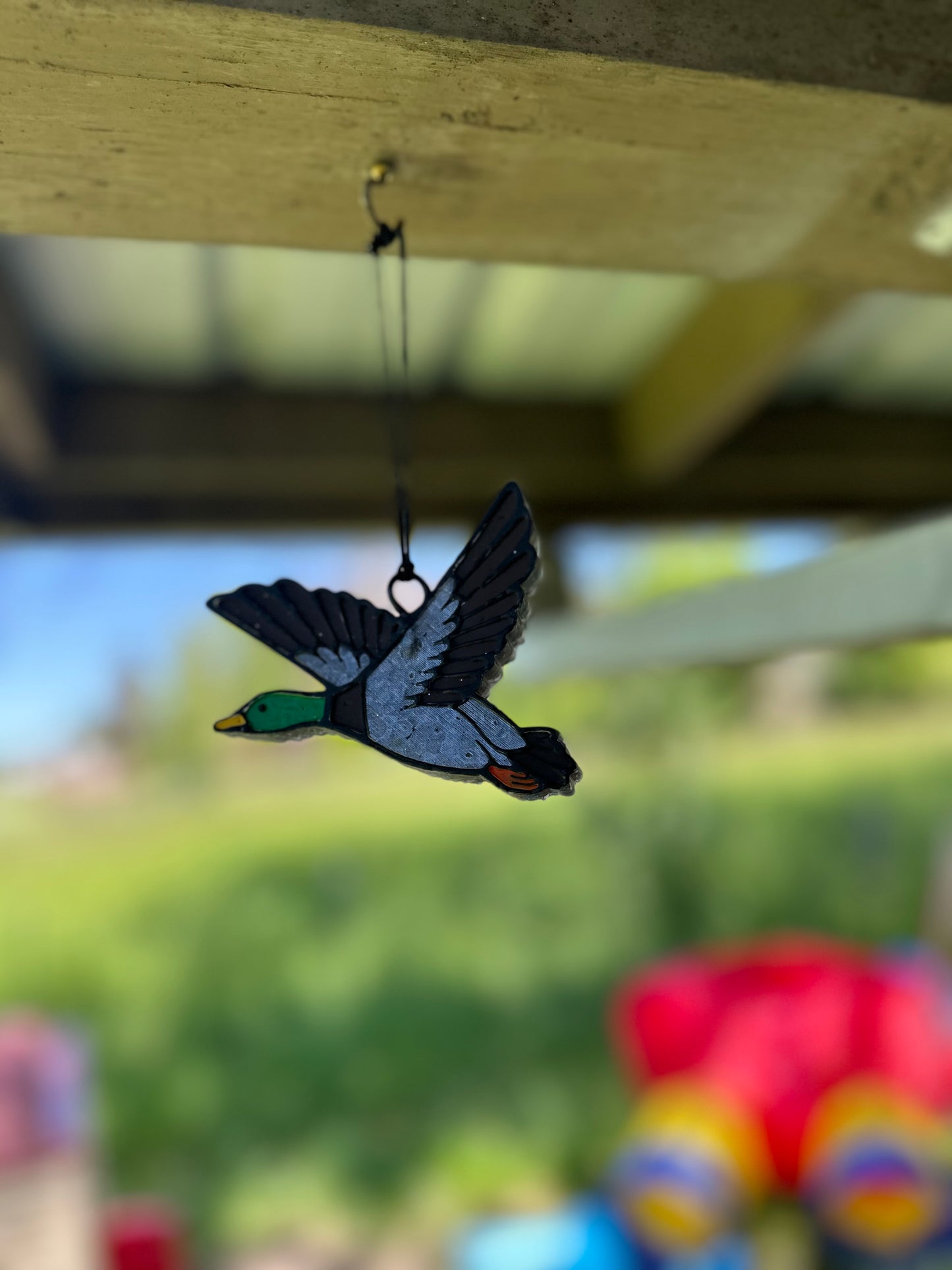 Mallard Duck Freshie